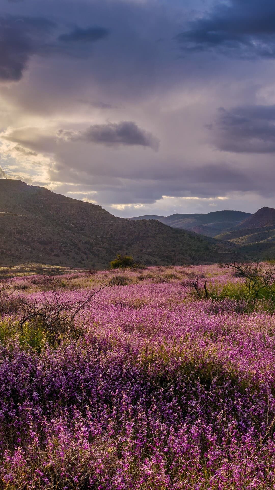 Aesthetic Wallpaper #5014