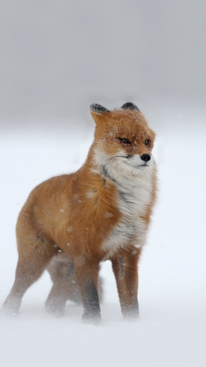 Aesthetic Wallpaper #2492