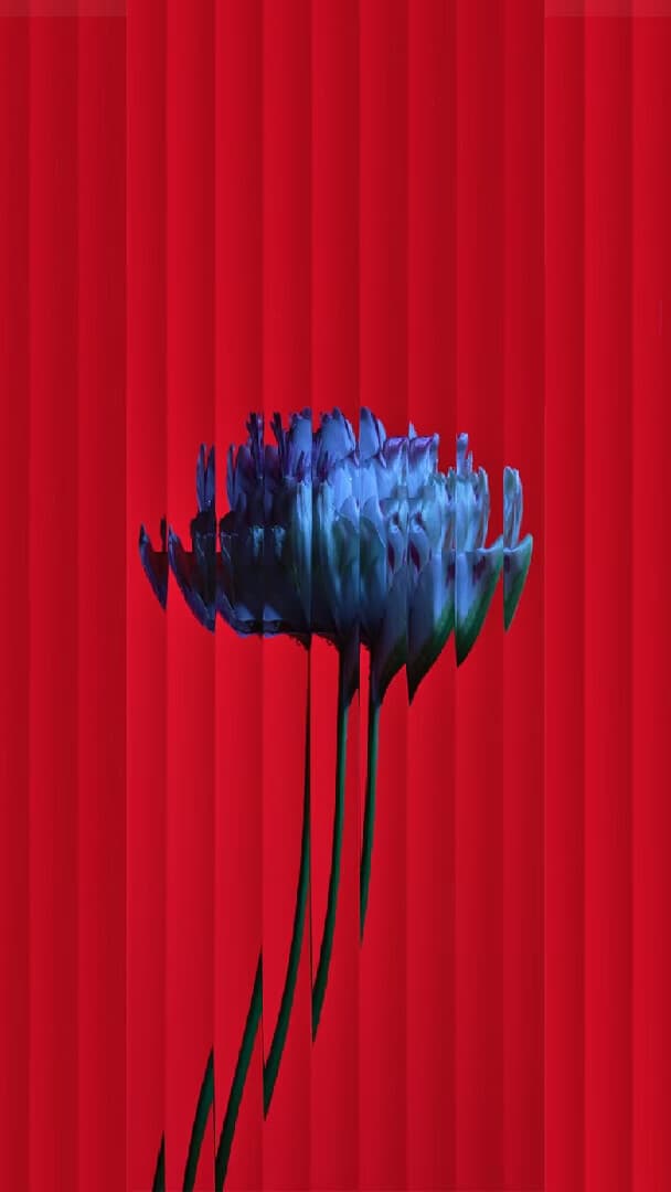 Aesthetic Wallpaper #5105 - free HD phone wallpaper for iPhone and Android, 1284x2778