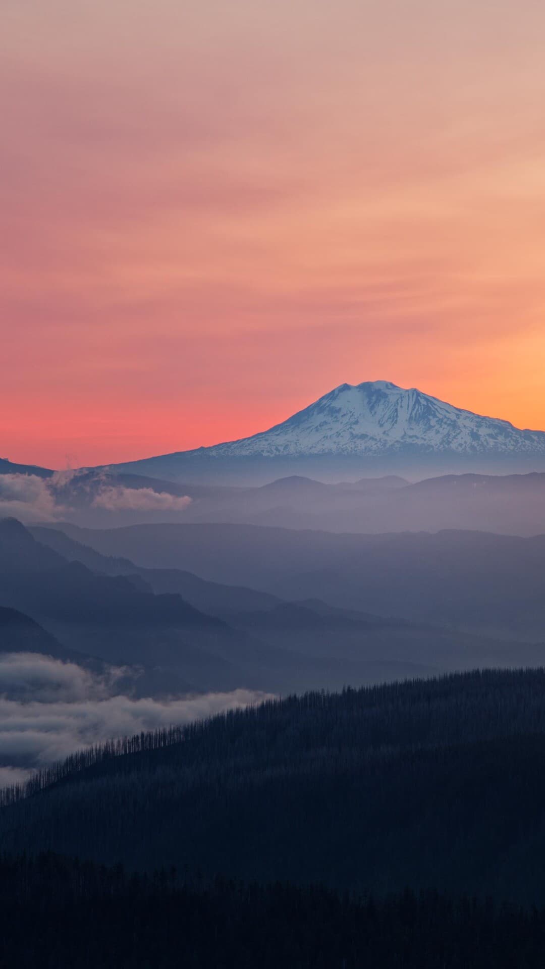 Aesthetic Wallpaper #3477