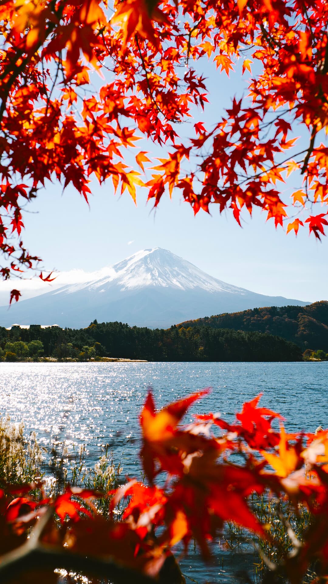 Aesthetic Wallpaper #3925