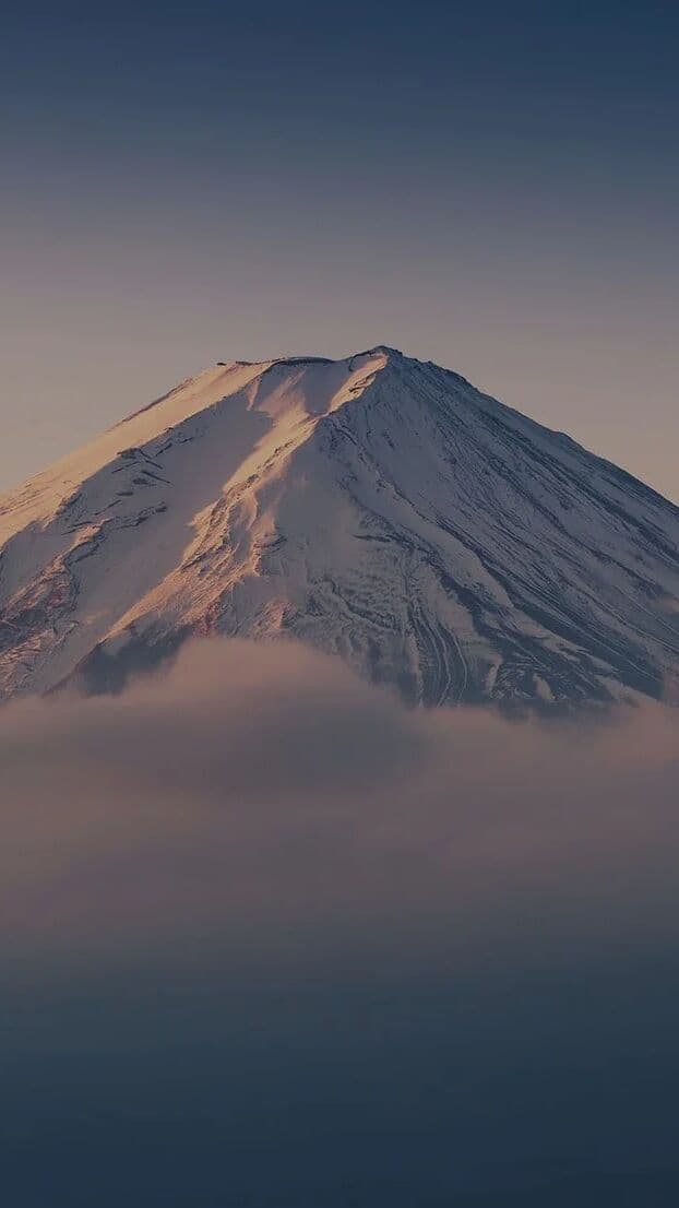 Aesthetic Wallpaper #429