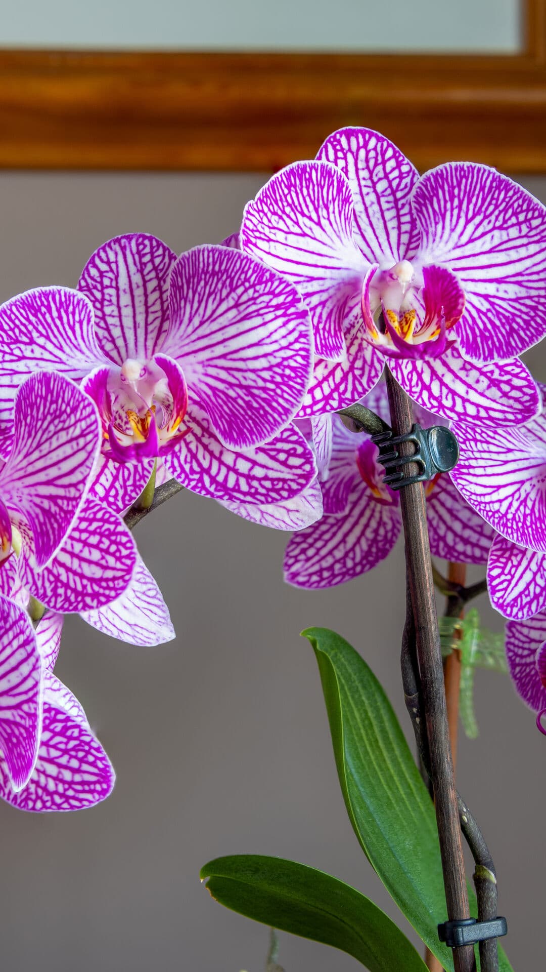 Aesthetic Wallpaper #2640