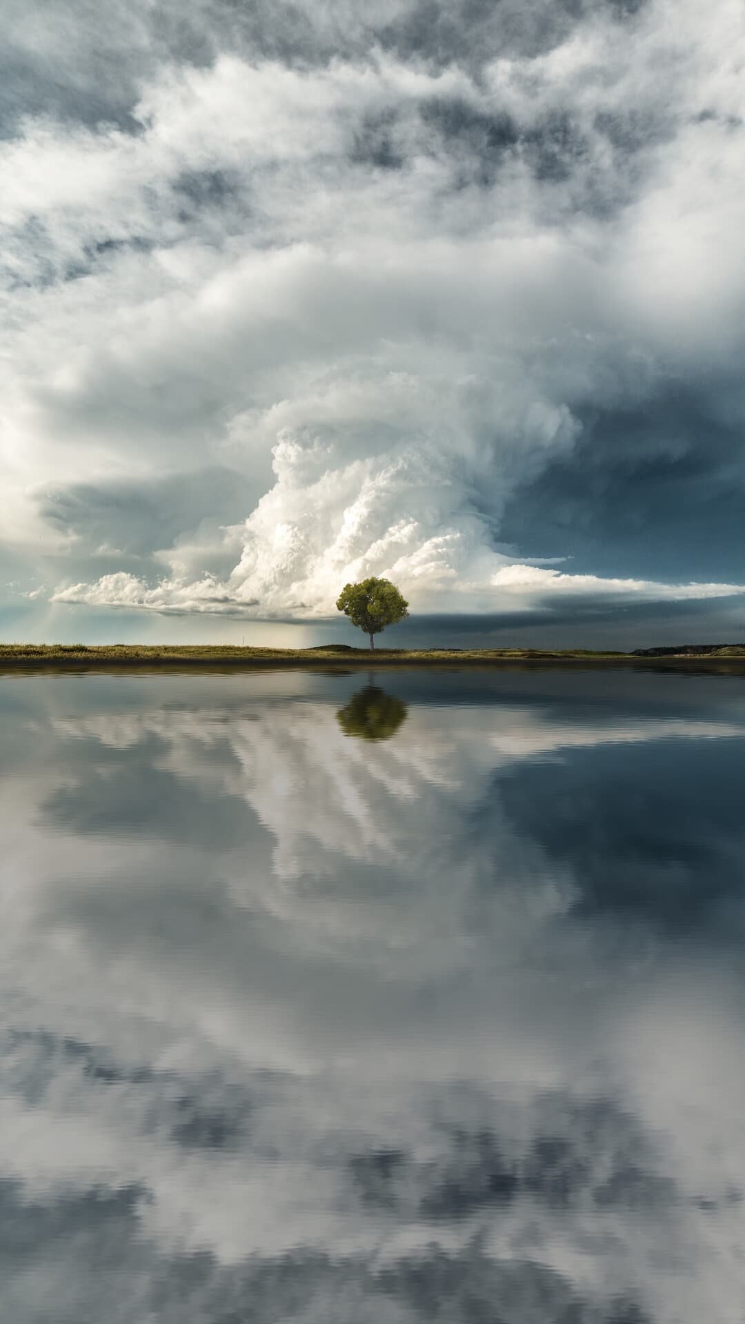 Aesthetic Wallpaper #2736