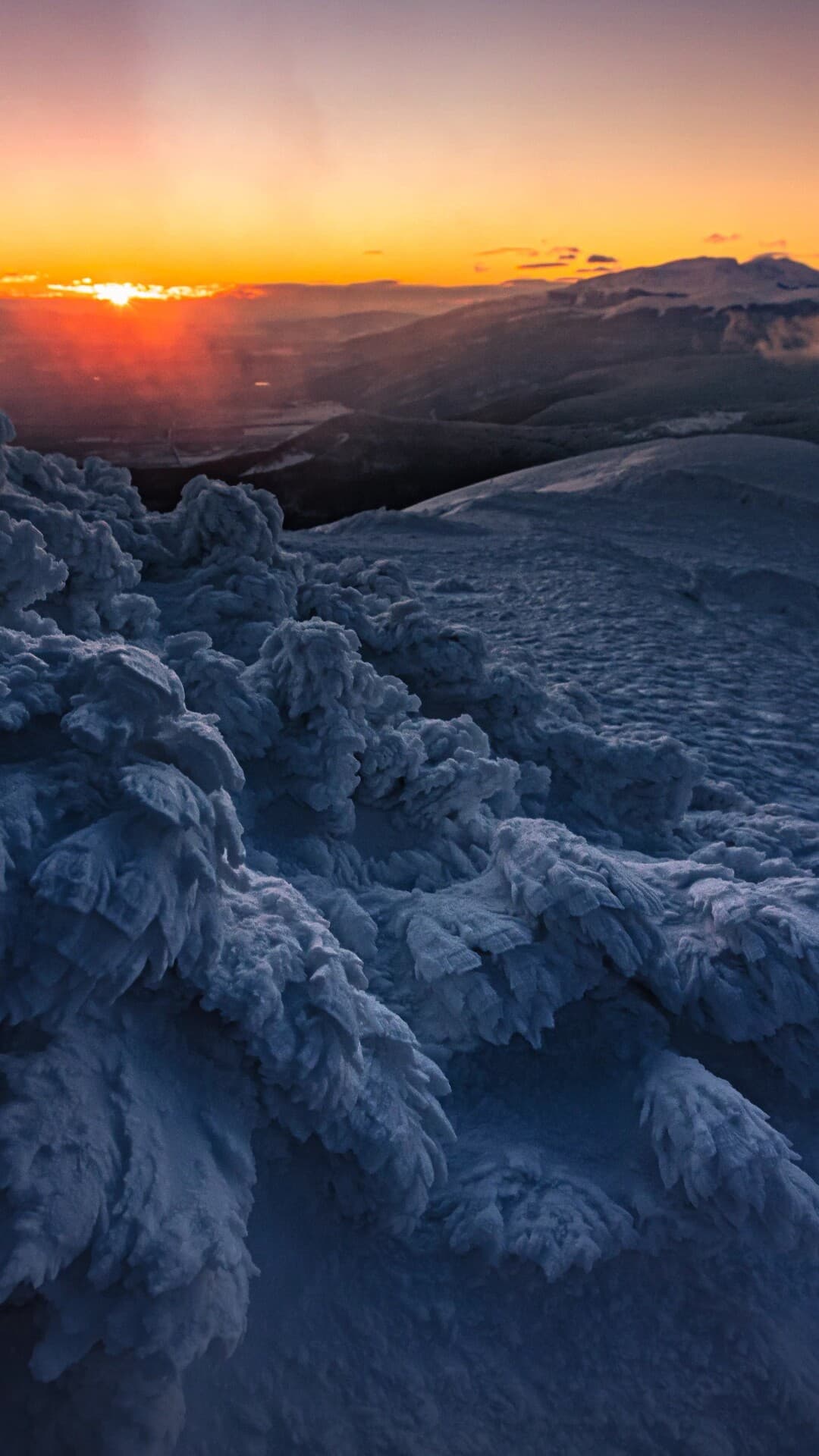 Aesthetic Wallpaper #1714