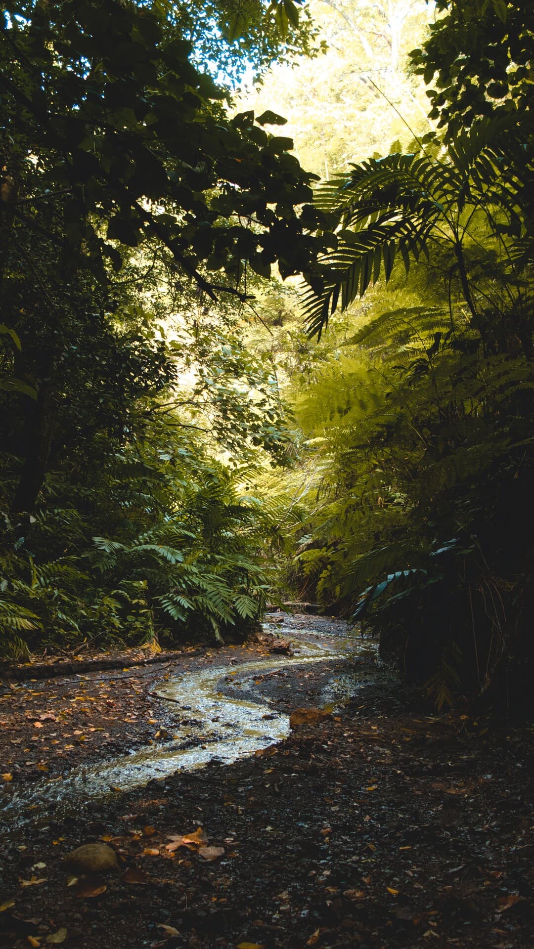 Aesthetic Wallpaper #548