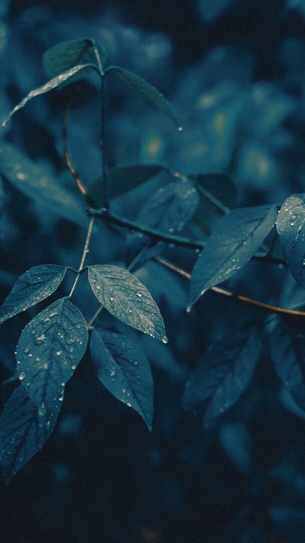 Aesthetic Wallpaper #910