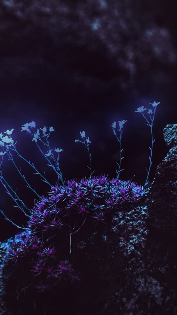 Aesthetic Wallpaper #307