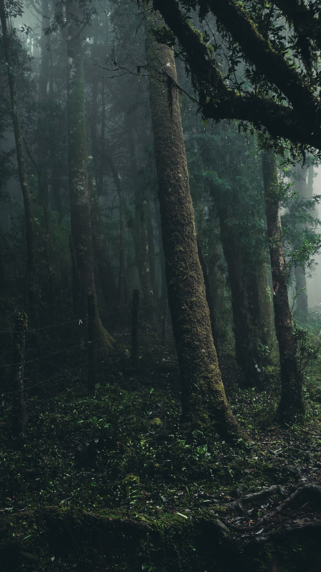 Aesthetic Wallpaper #4108