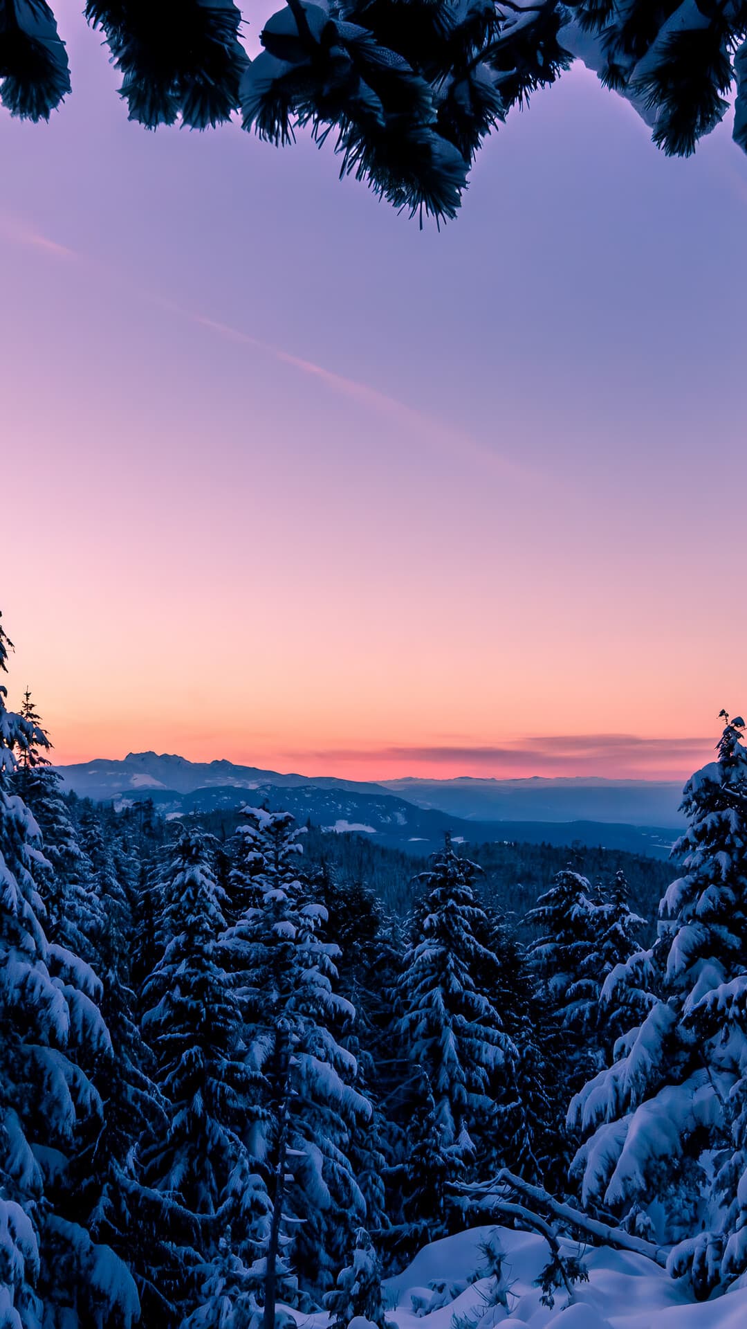 Aesthetic Wallpaper #48