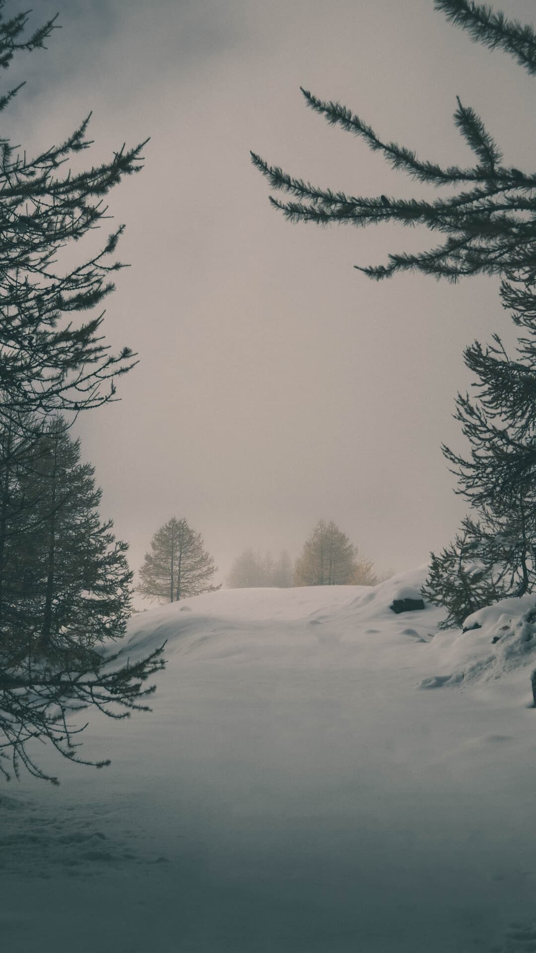 Aesthetic Wallpaper #3550