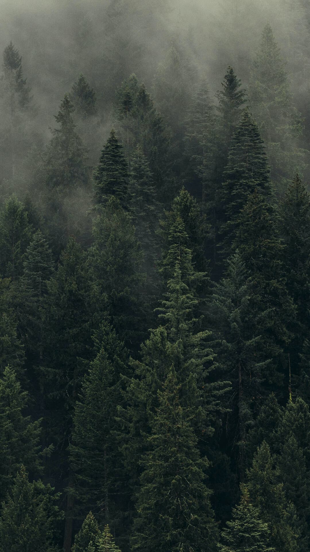 Aesthetic Wallpaper #4374