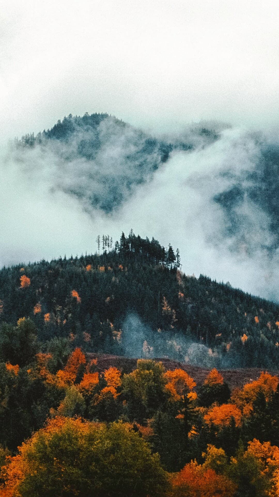 Aesthetic Wallpaper #1198