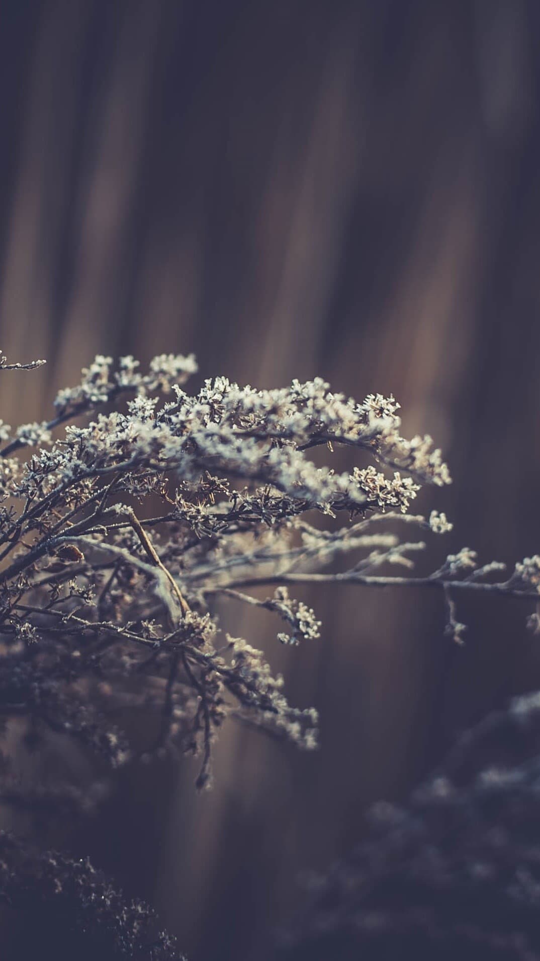 Aesthetic Wallpaper #402