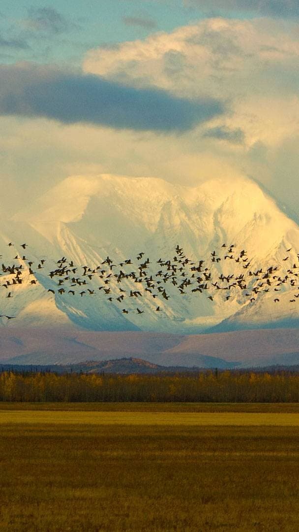 Aesthetic Wallpaper #4680