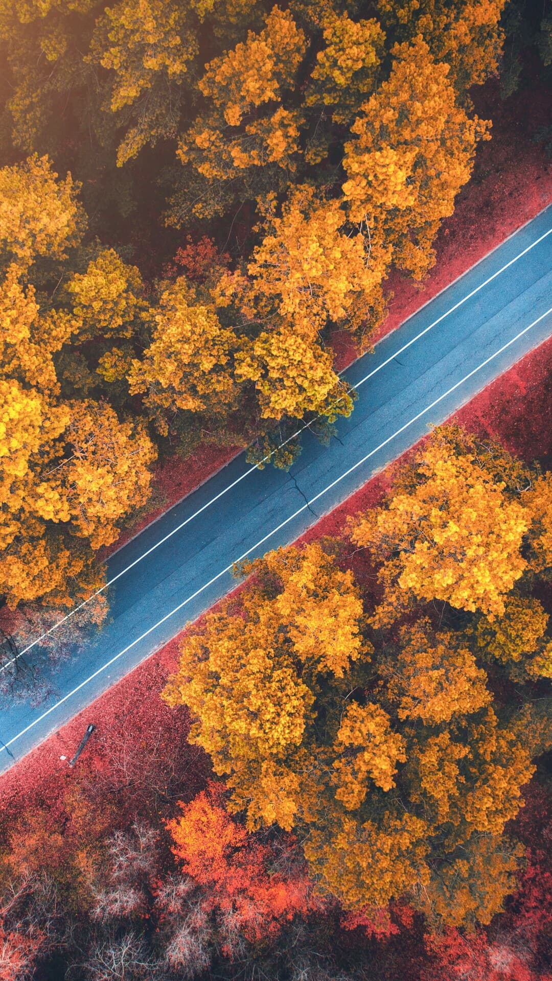 Aesthetic Wallpaper #685