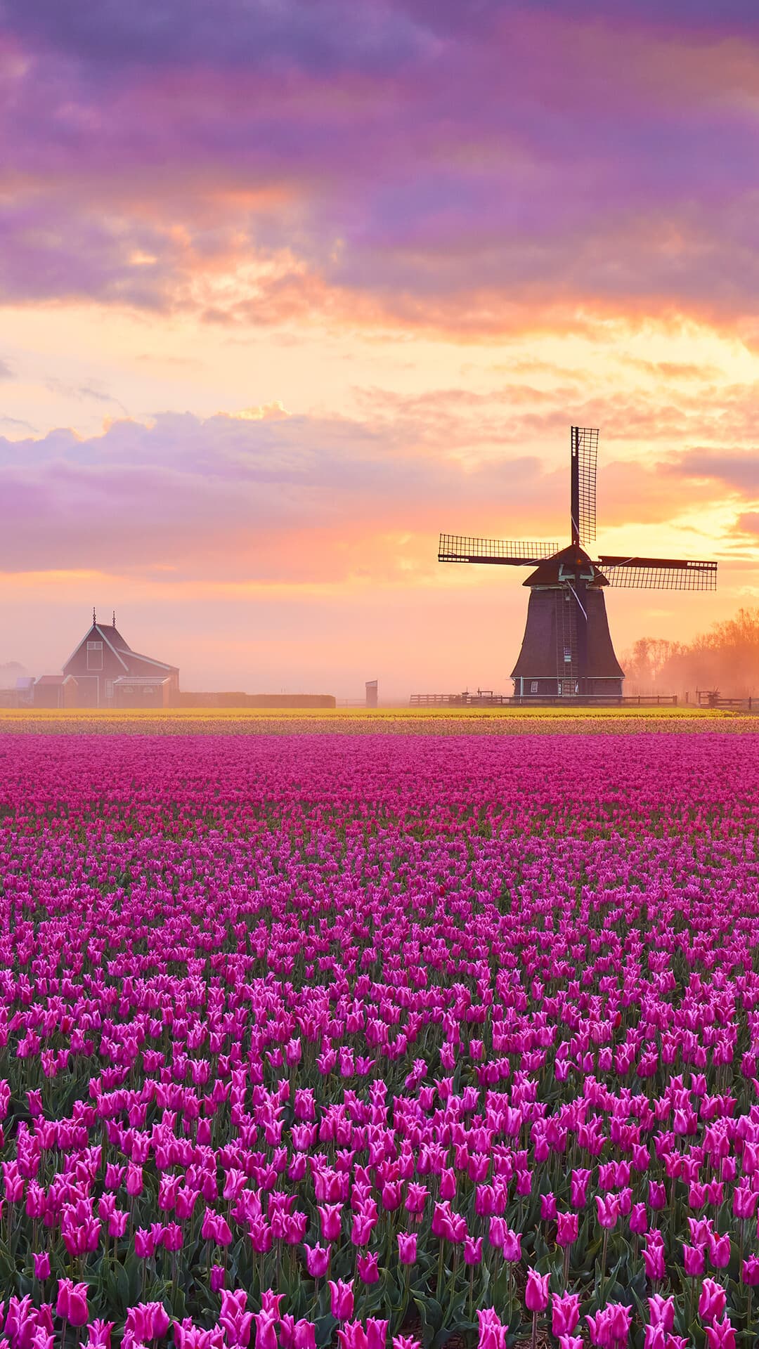 Aesthetic Wallpaper #2187