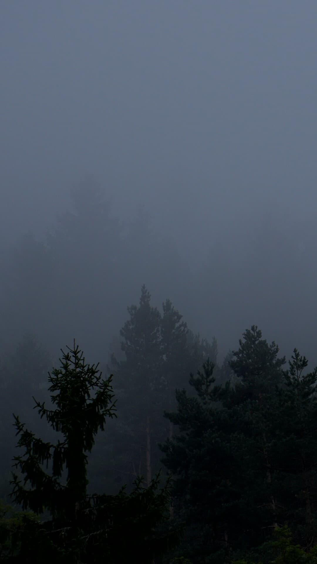 Aesthetic Wallpaper #3564