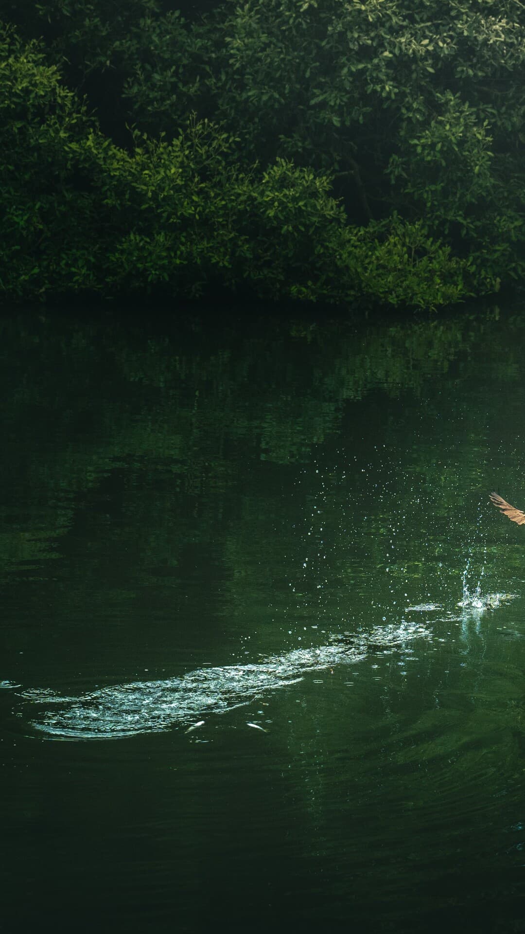 Aesthetic Wallpaper #2988