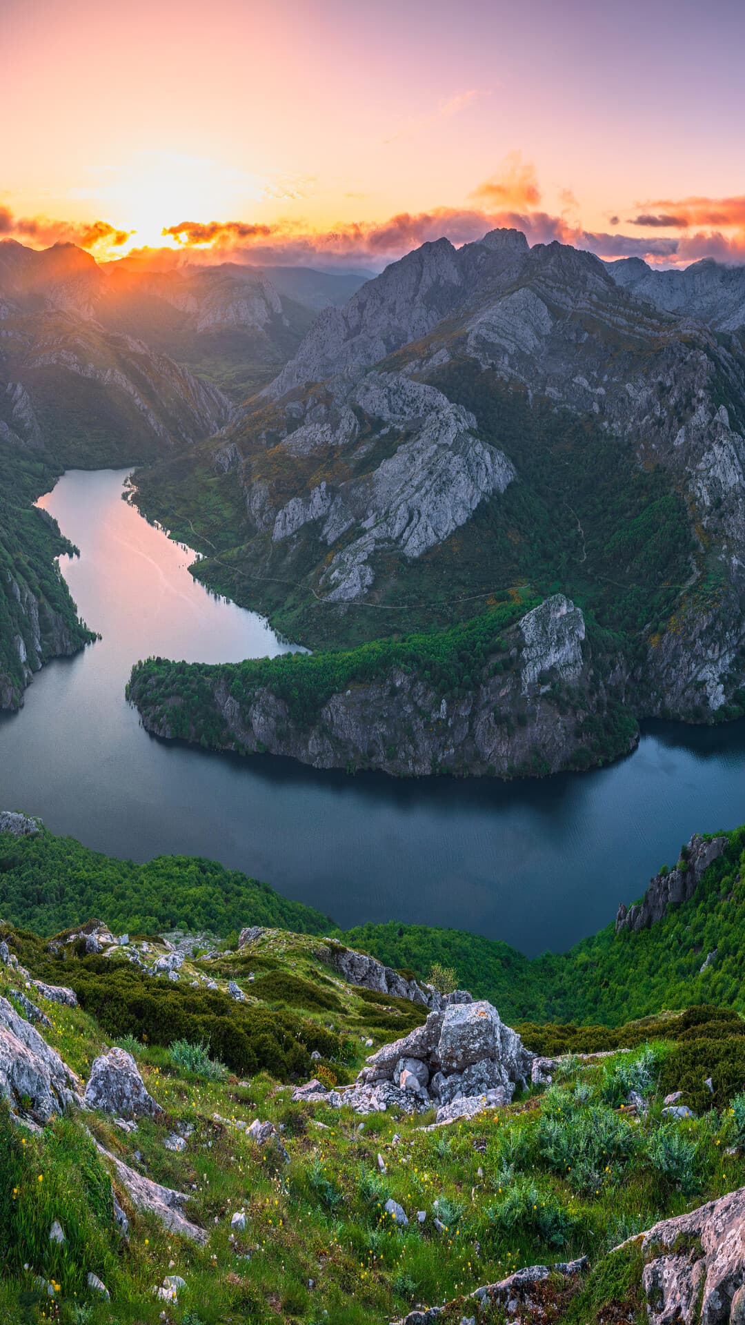 Aesthetic Wallpaper #972