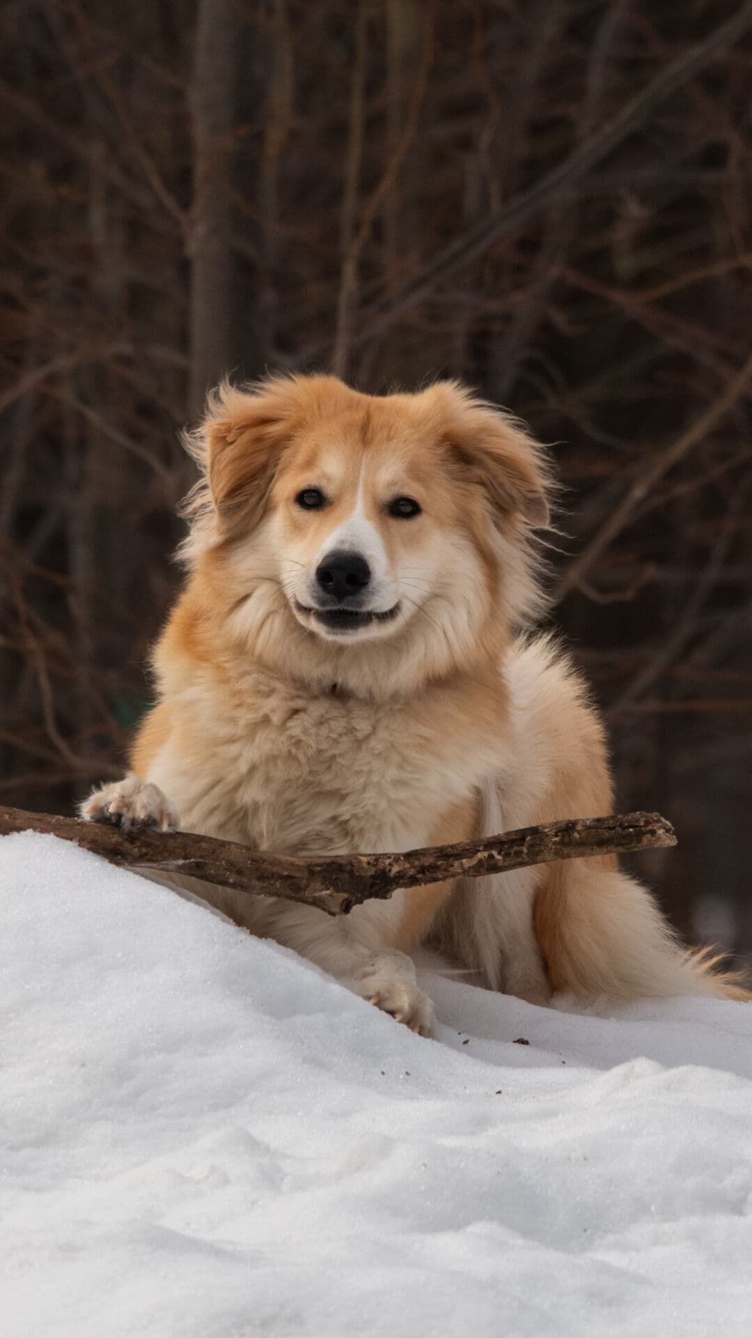 Aesthetic Wallpaper #3107