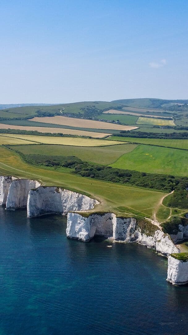 Aesthetic Wallpaper #924