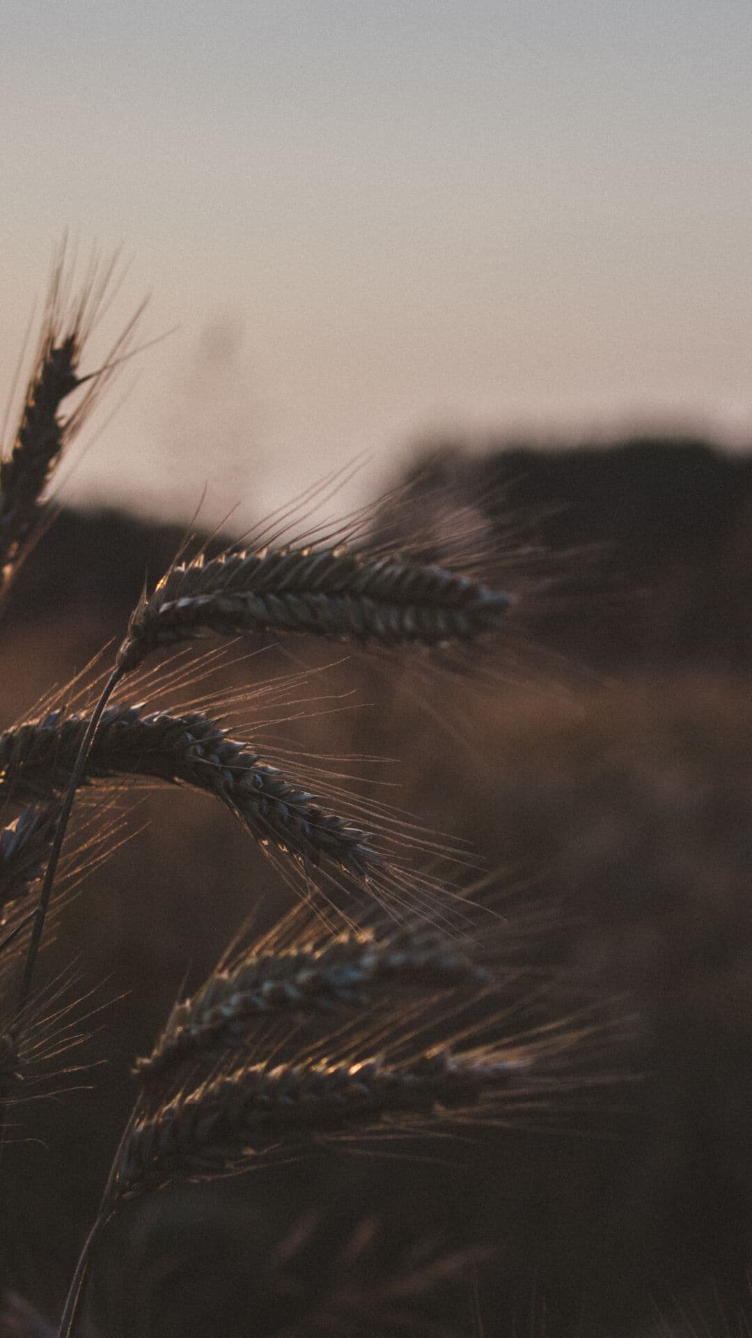 Aesthetic Wallpaper #2390