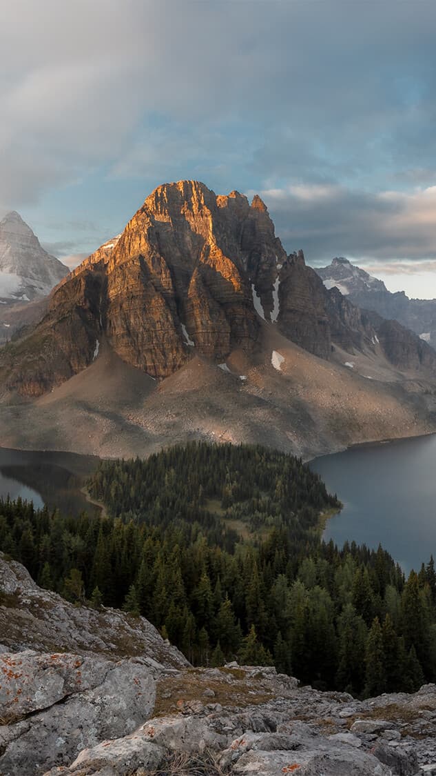 Aesthetic Wallpaper #2438