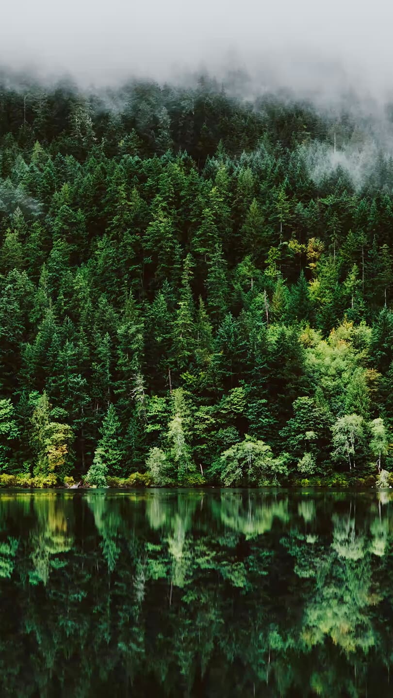 Aesthetic Wallpaper #304