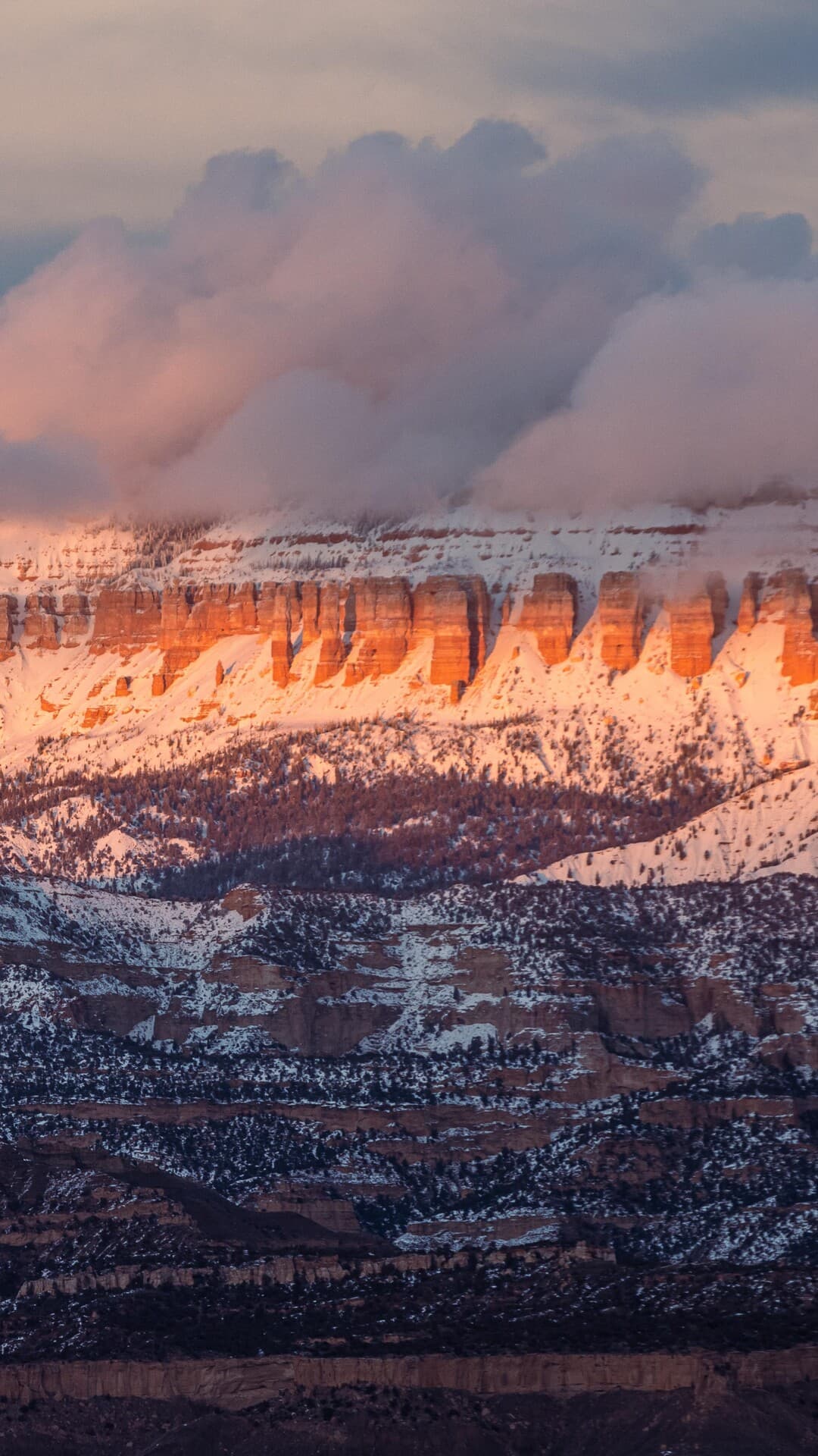 Aesthetic Wallpaper #2348