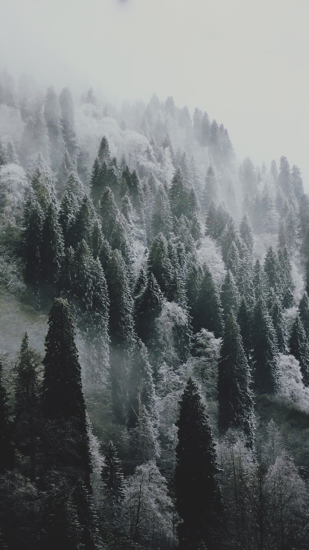 Aesthetic Wallpaper #1715