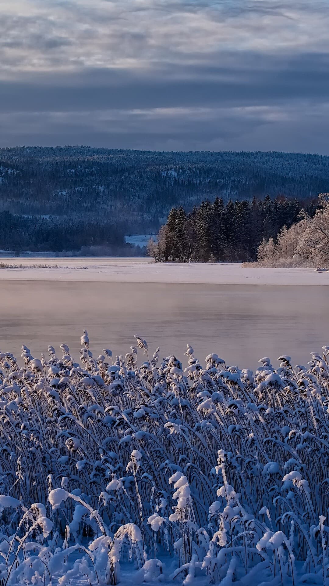 Aesthetic Wallpaper #3941