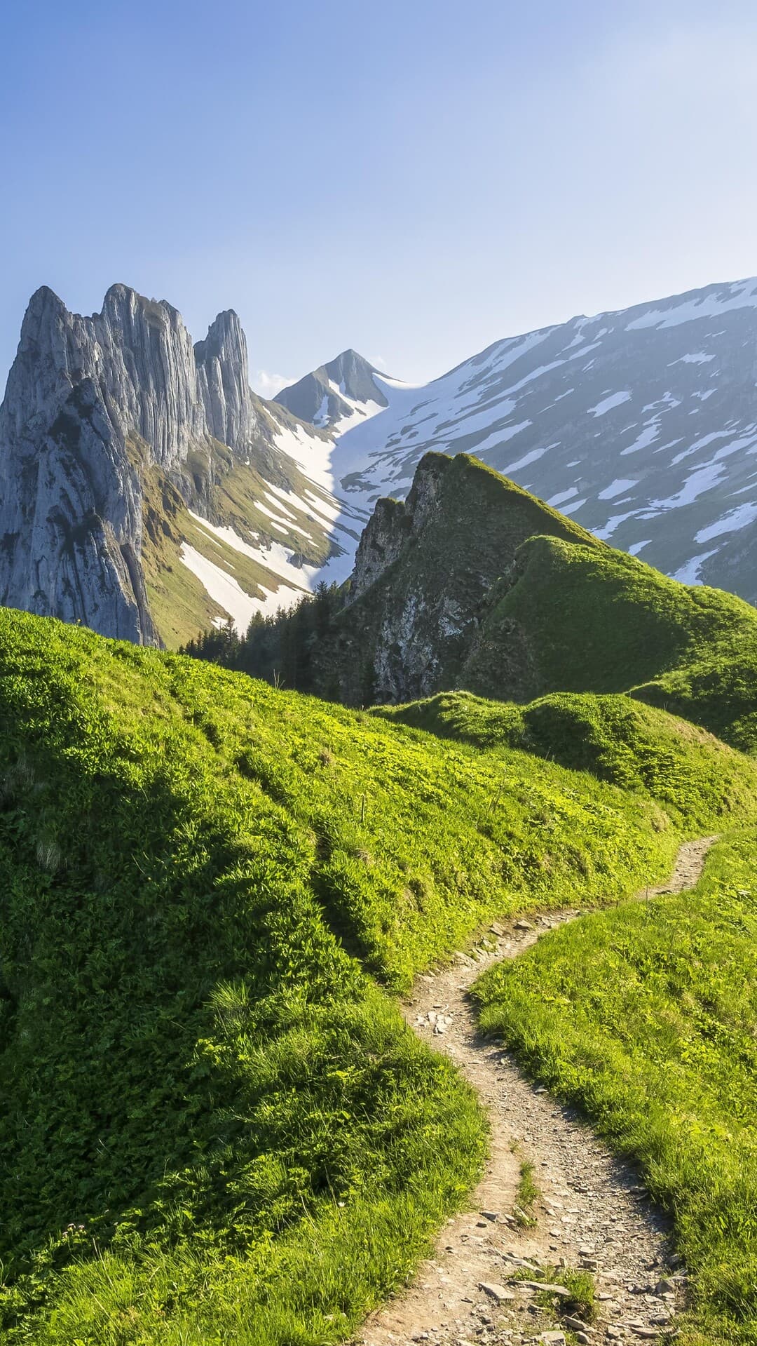 Aesthetic Wallpaper #3026