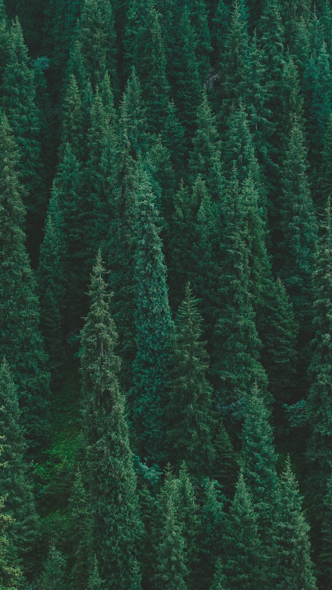 Aesthetic Wallpaper #124