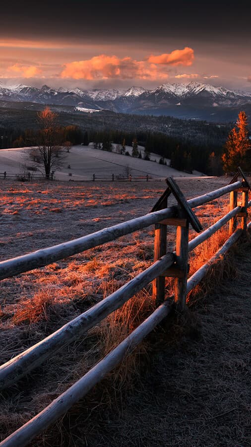 Aesthetic Wallpaper #1410