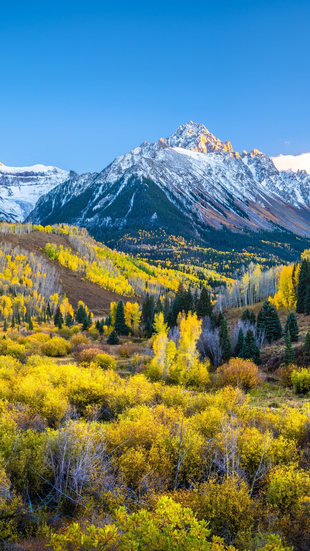 Aesthetic Wallpaper #1070