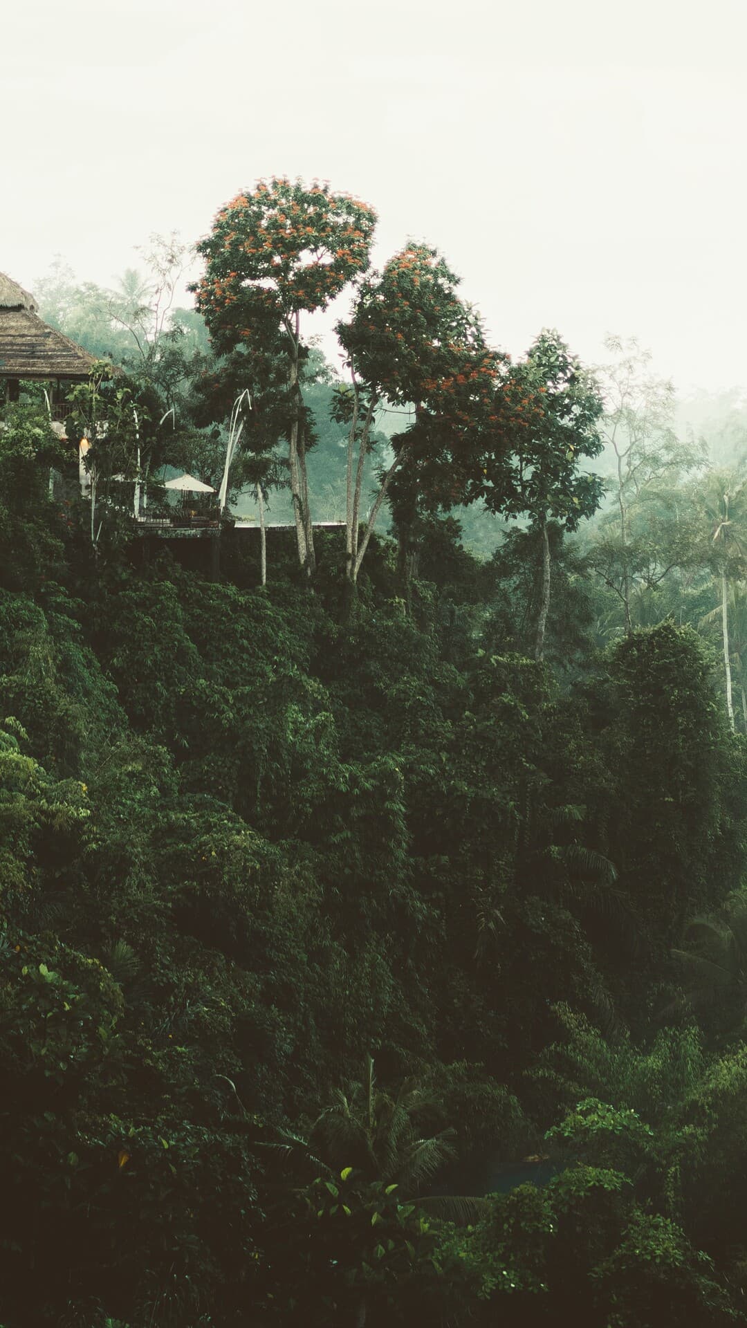 Aesthetic Wallpaper #1932