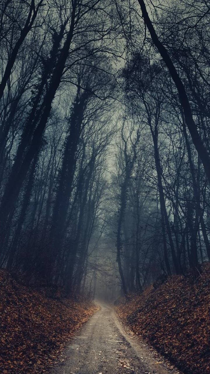 Aesthetic Wallpaper #3135