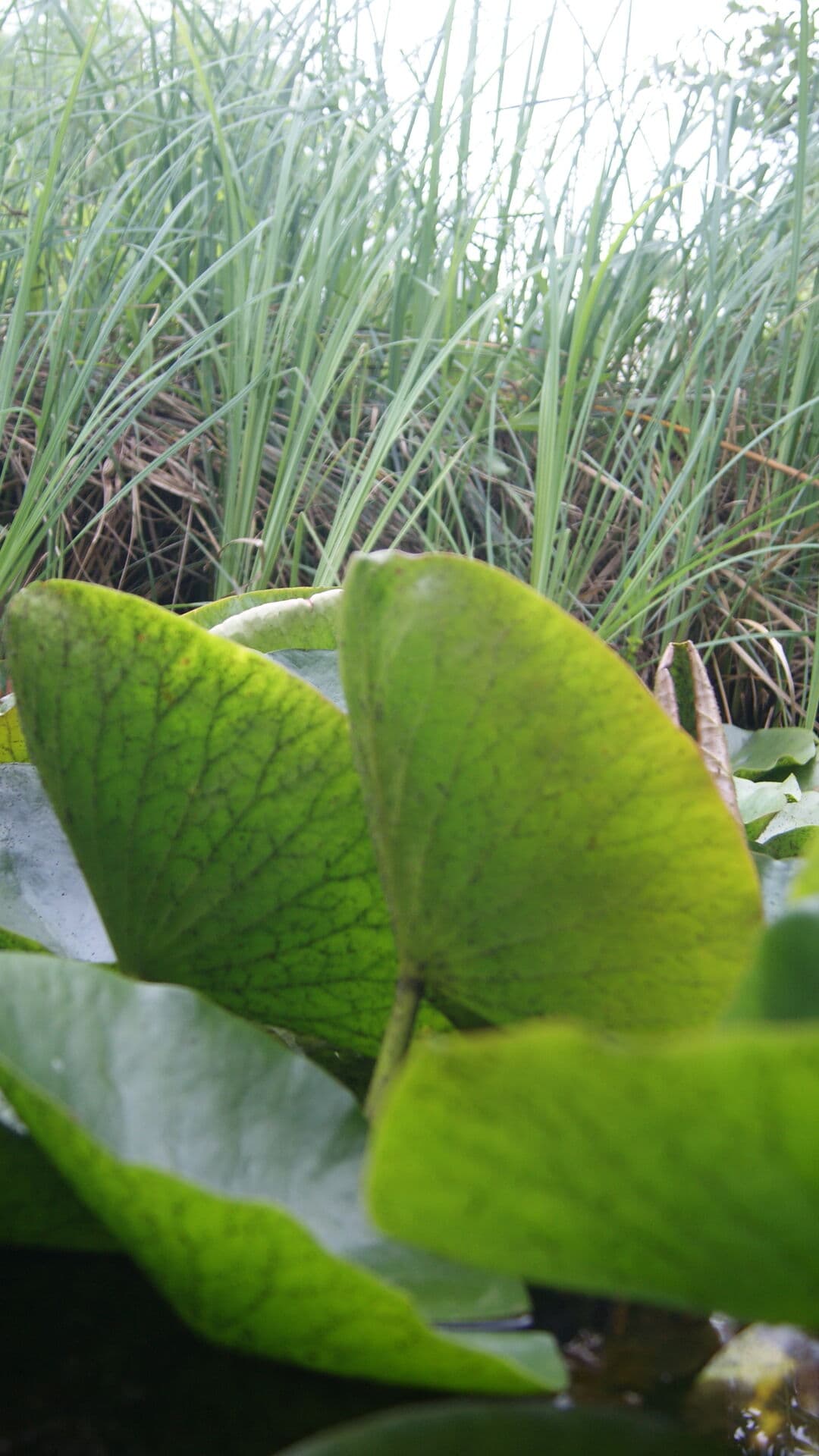 Aesthetic Wallpaper #2801