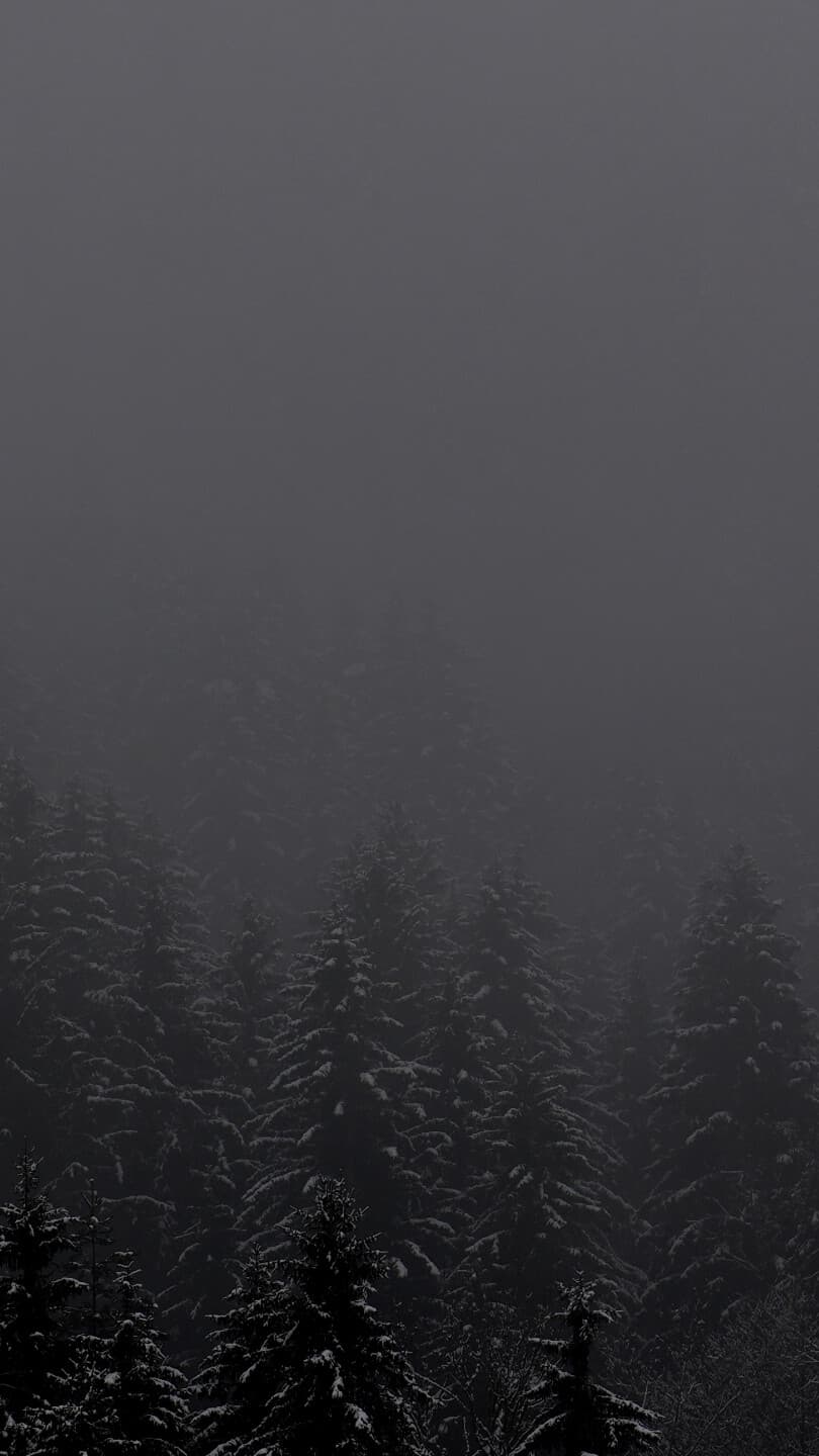 Aesthetic Wallpaper #5393