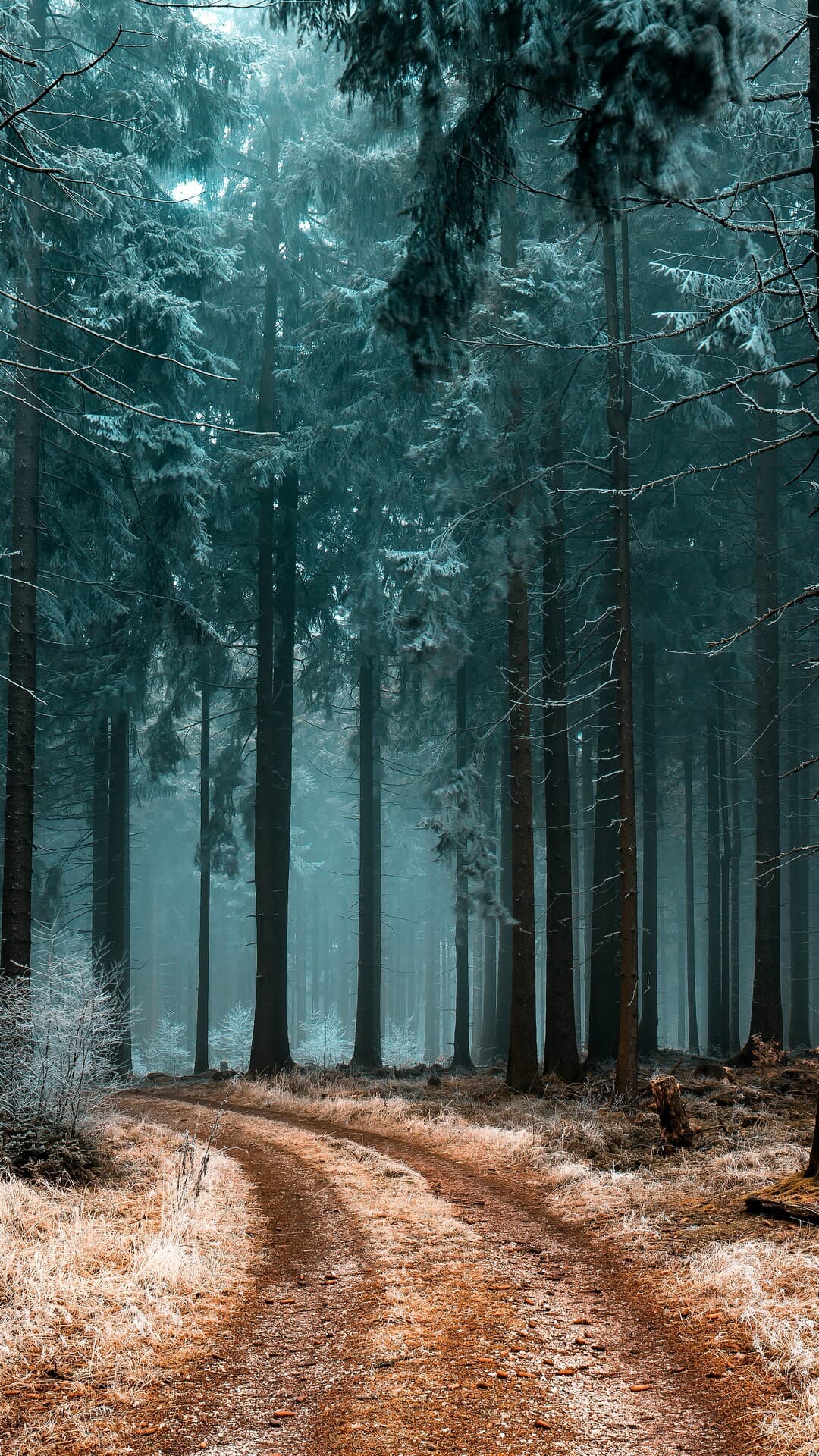 Aesthetic Wallpaper #5012