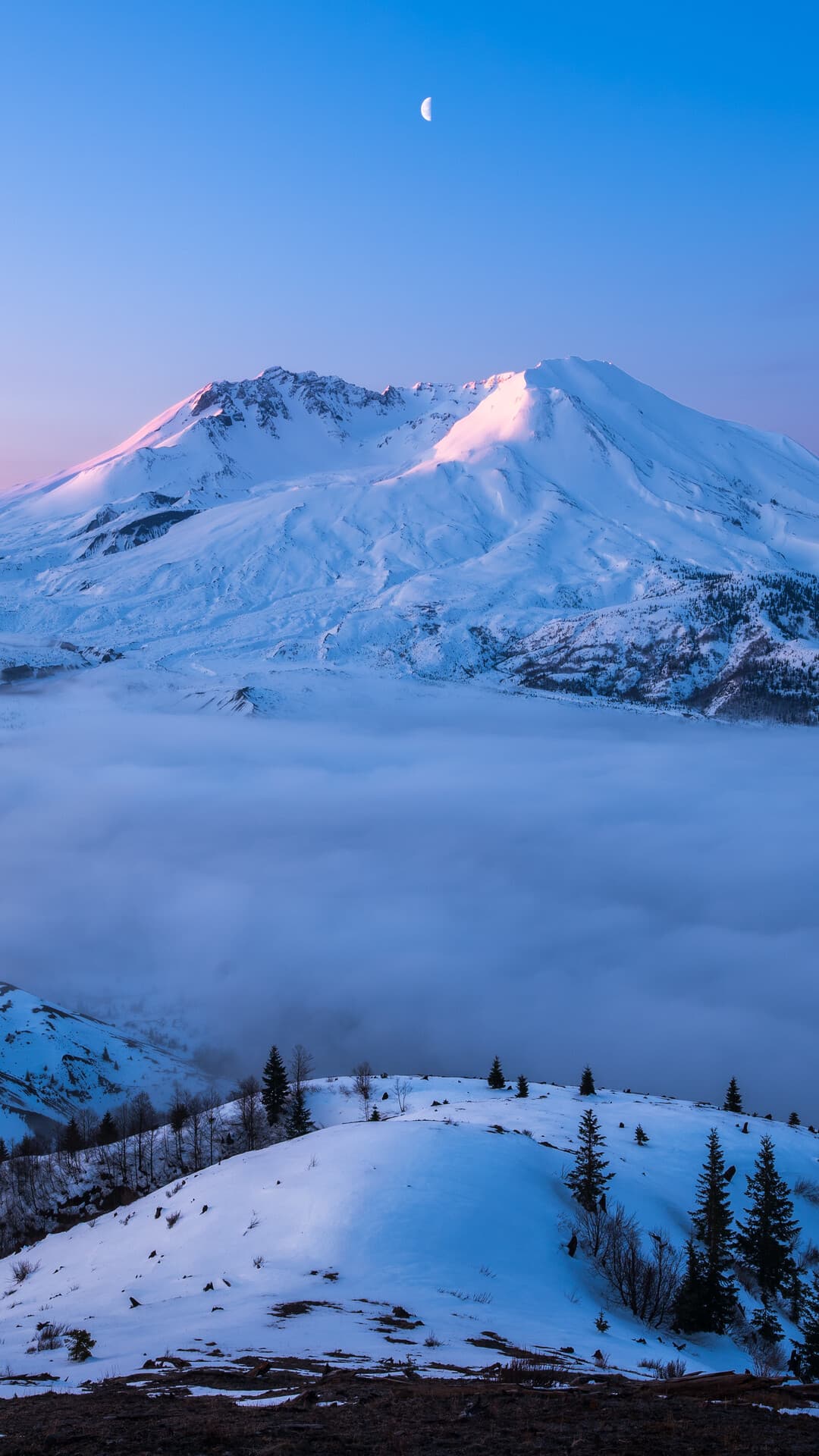 Aesthetic Wallpaper #507