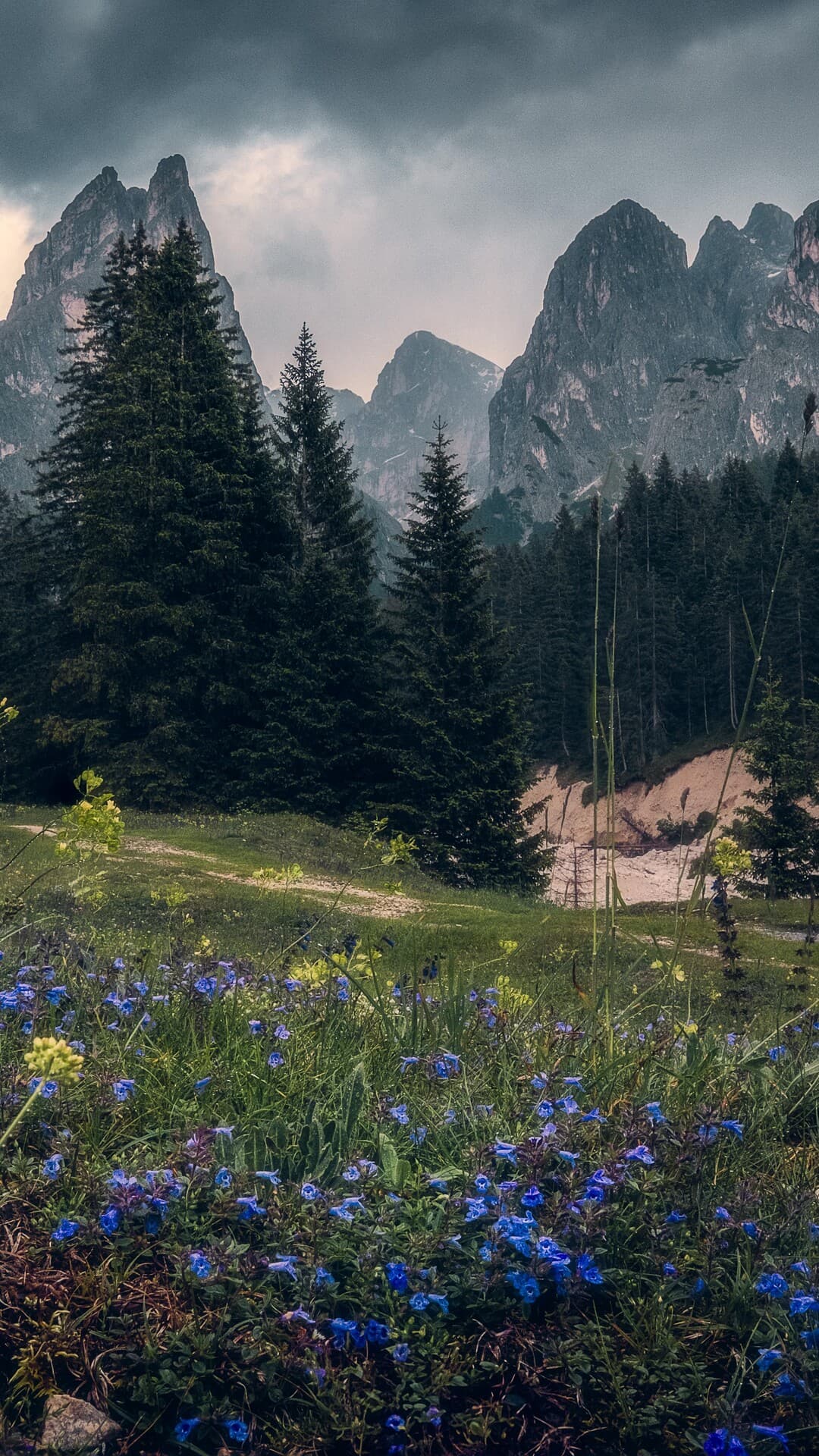 Aesthetic Wallpaper #253