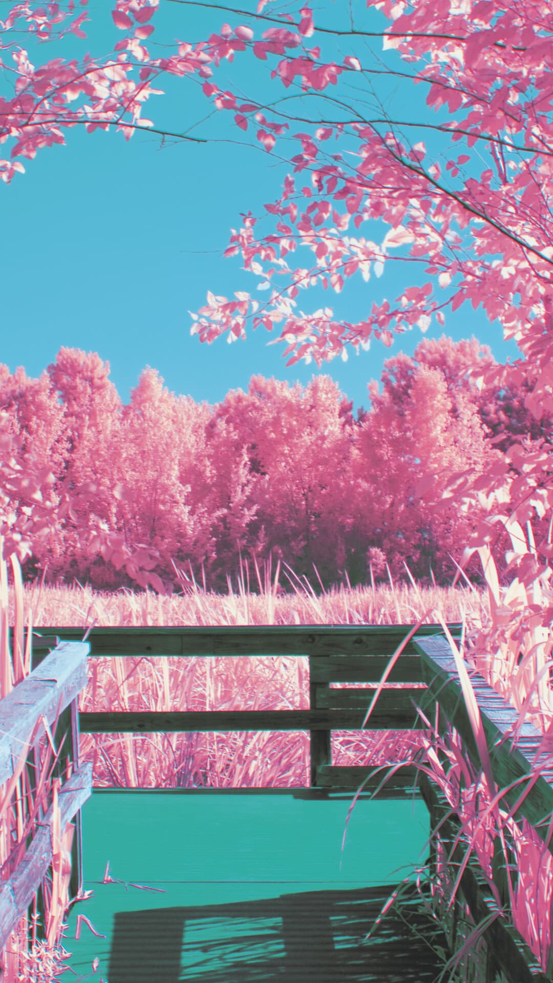 Aesthetic Wallpaper #5121