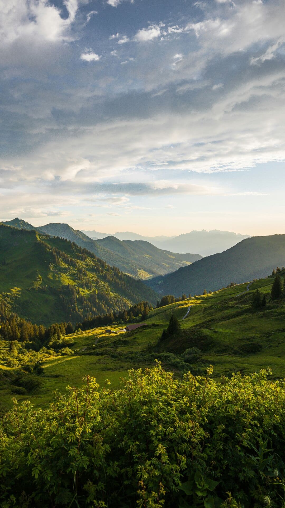 Aesthetic Wallpaper #686