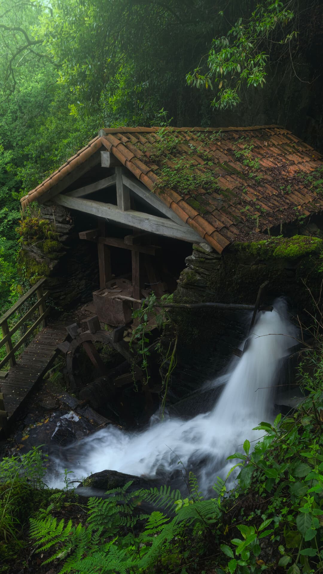 Aesthetic Wallpaper #5207