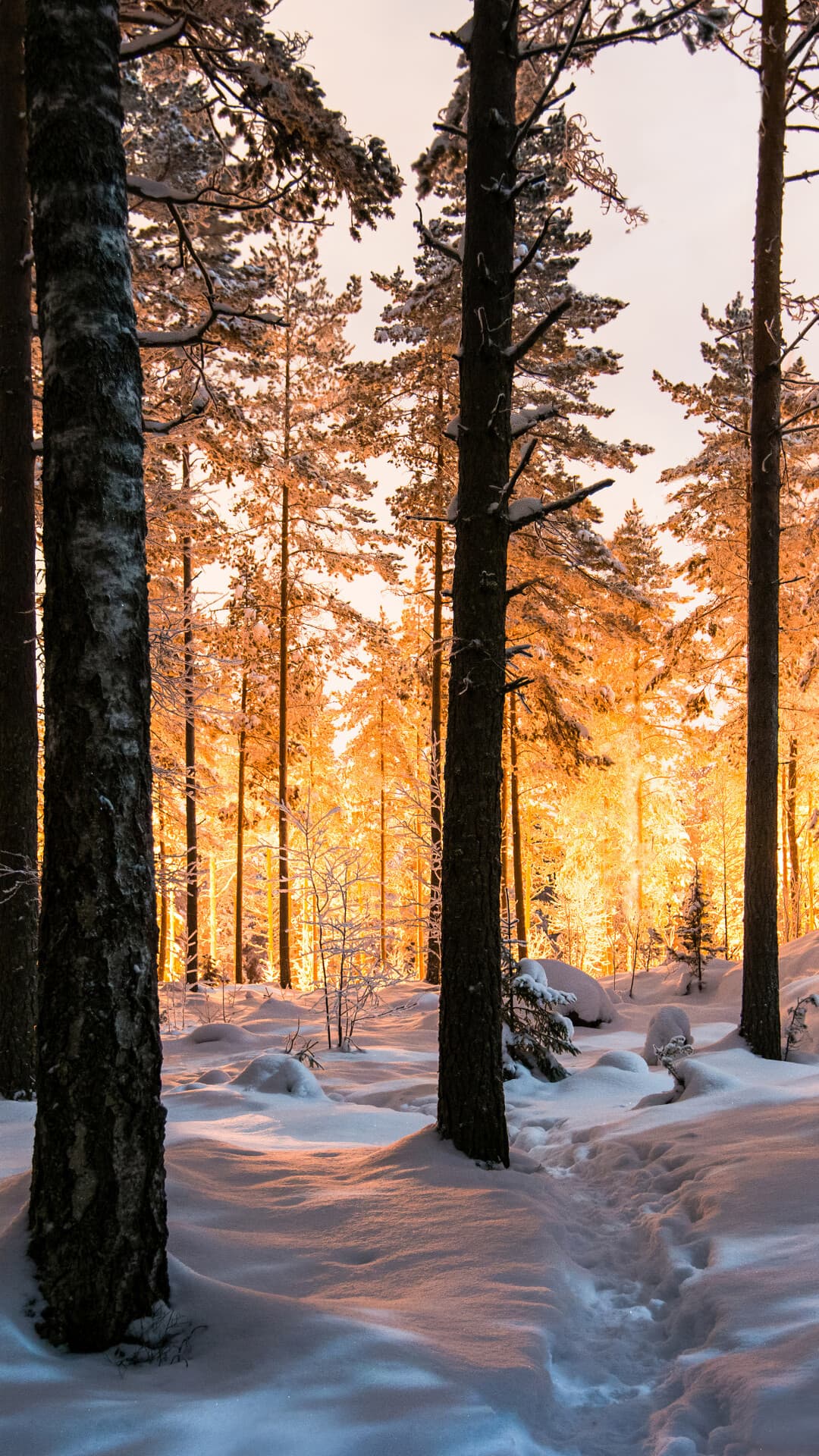 Aesthetic Wallpaper #960