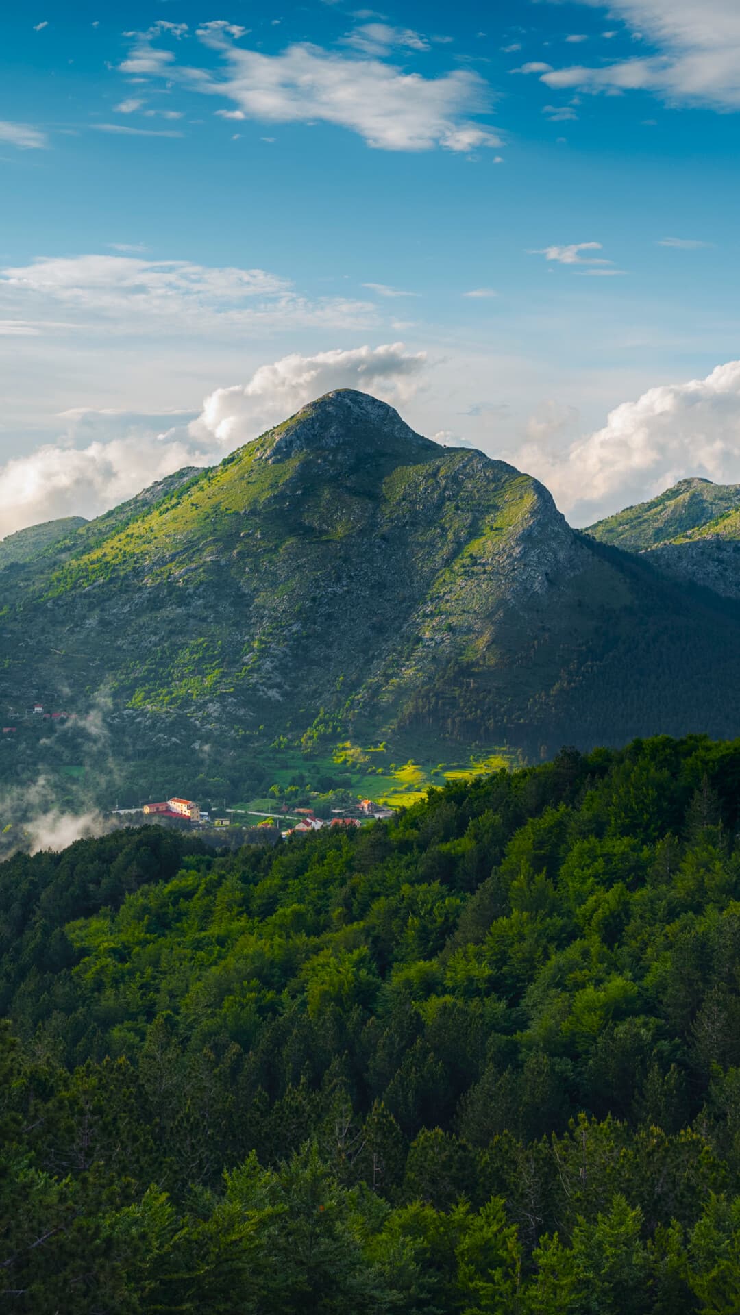 Aesthetic Wallpaper #1274