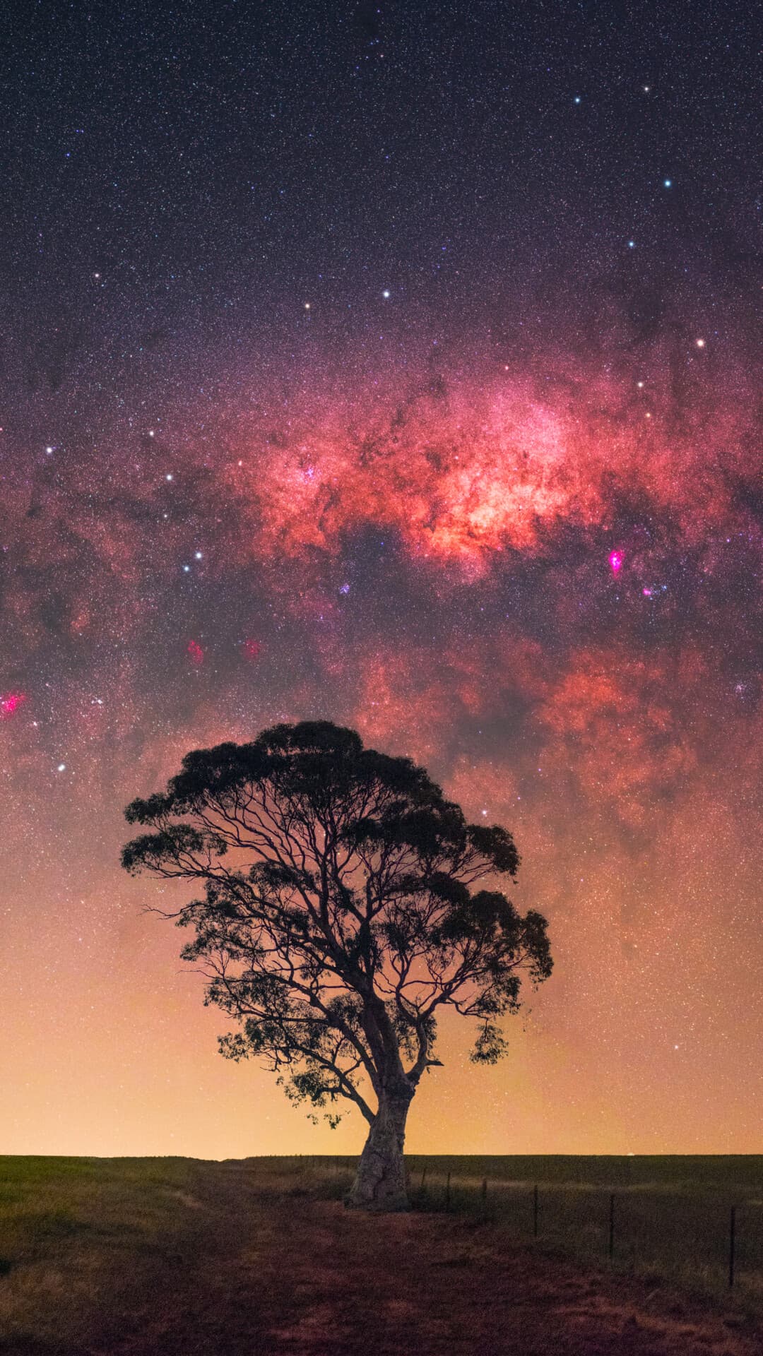 Aesthetic Wallpaper #2107