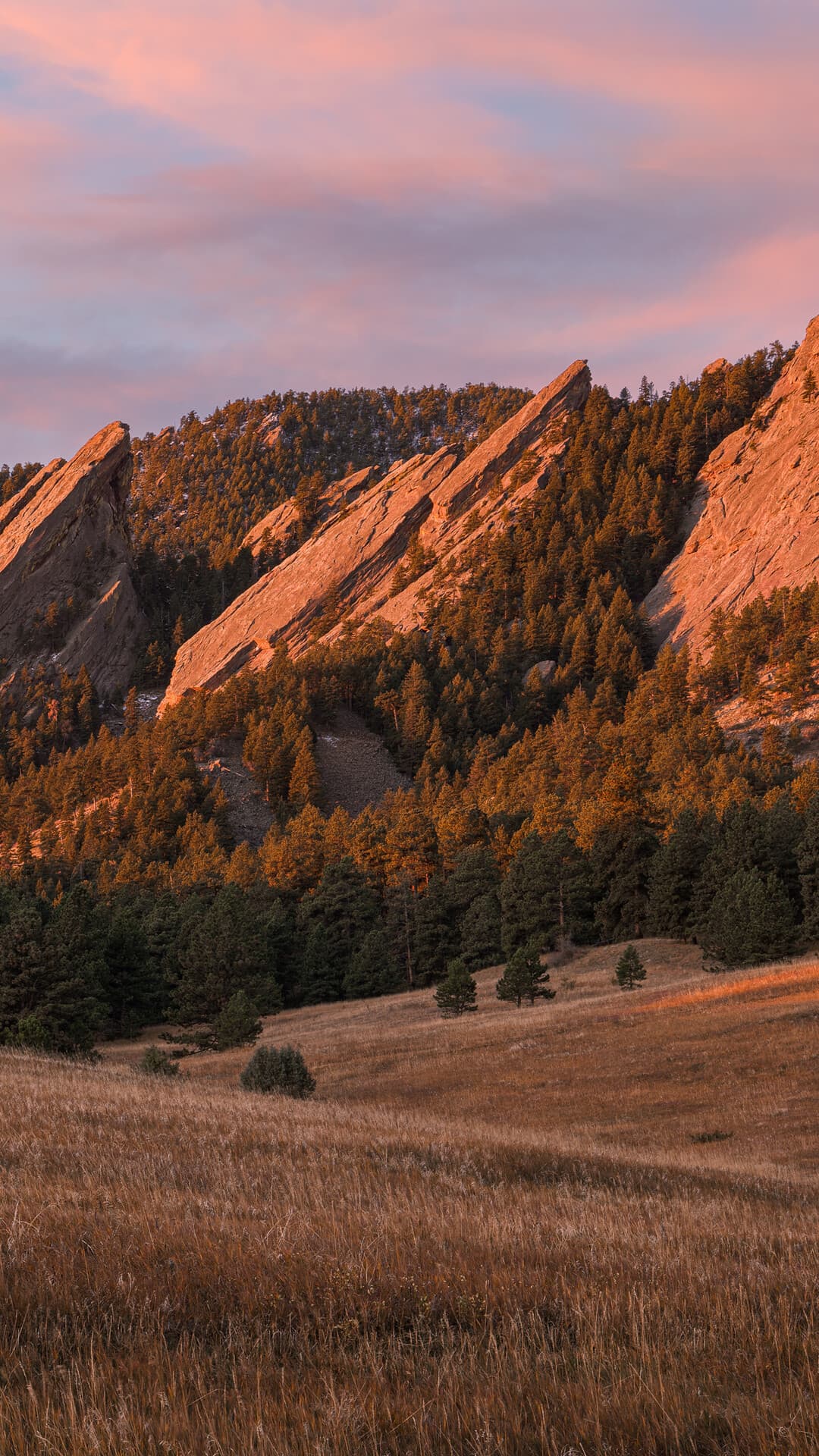 Aesthetic Wallpaper #2077